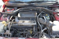 IMG_6339 [1024x768].JPG