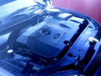 IMAG0007 (Medium).JPG