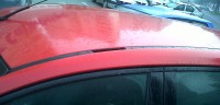 IMG00339-20100922-0732_crop.jpg