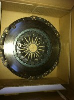 IMG_0064 [1024x768].JPG